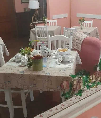 Andrea E Solignano Nuovo